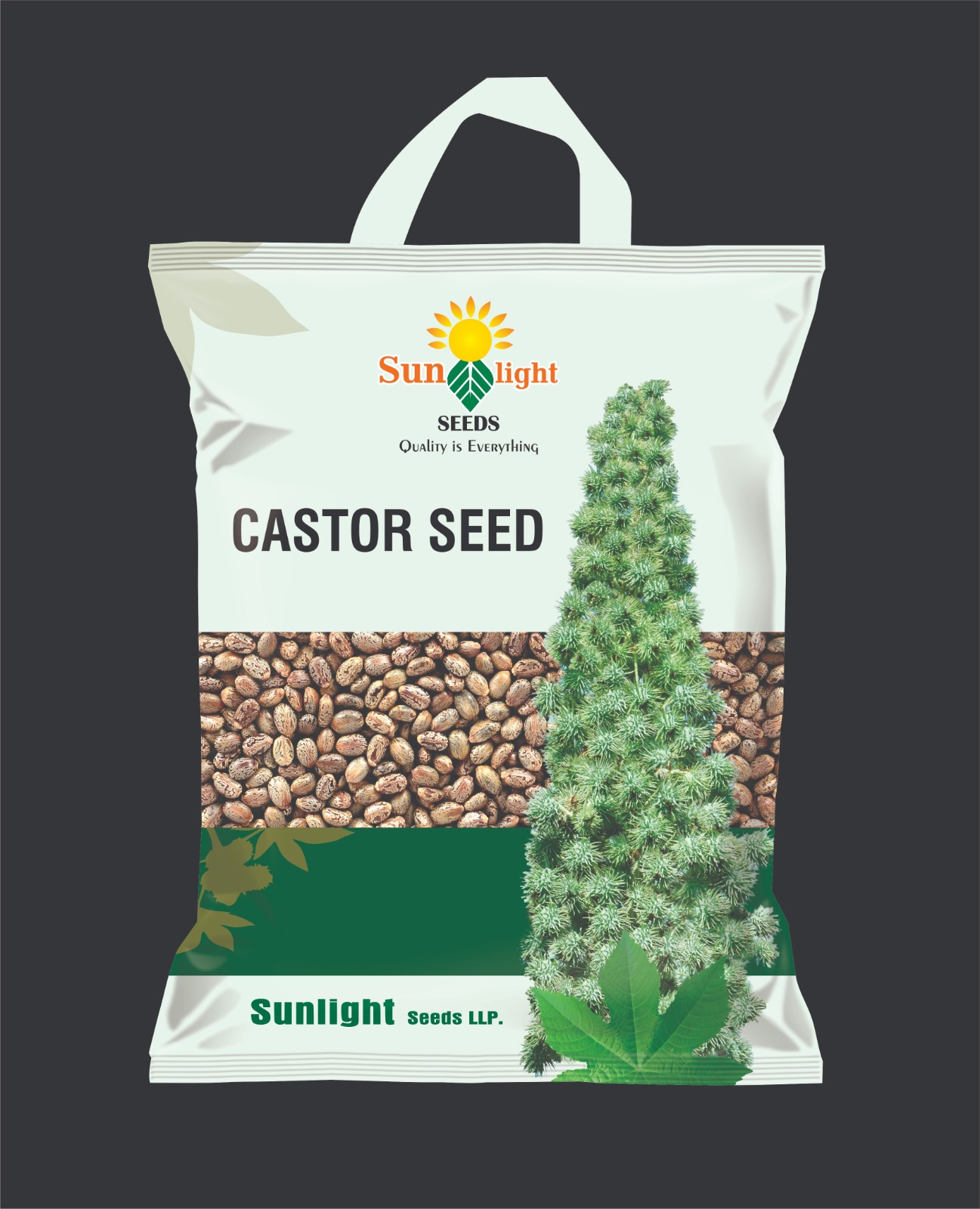 Castor Seeds