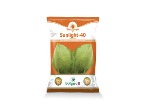 Sunlight-40